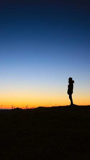 小霸王蜘蛛池源码截图1