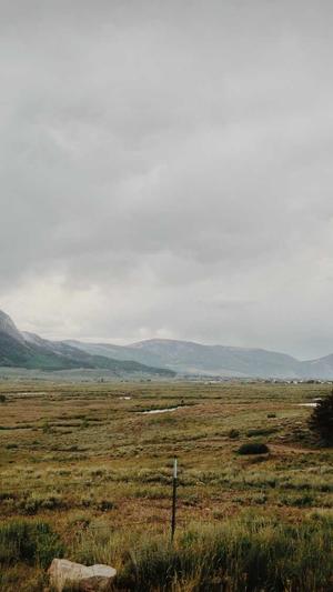 快速收录网站泛目录截图3