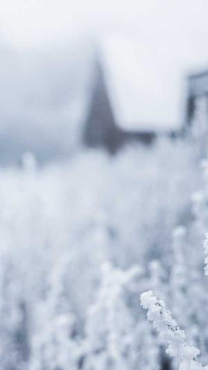 为什么要搭建蜘蛛池截图3