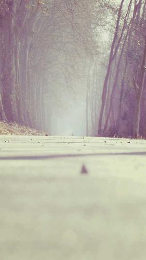 昆明网络推广昆明网站建设昆明昆明截图1