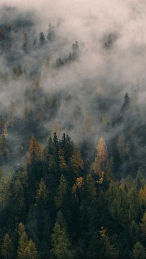 网站优化推广seo截图2