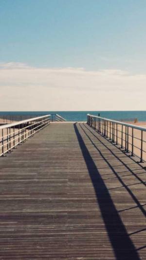 蜘蛛池的危害截图2