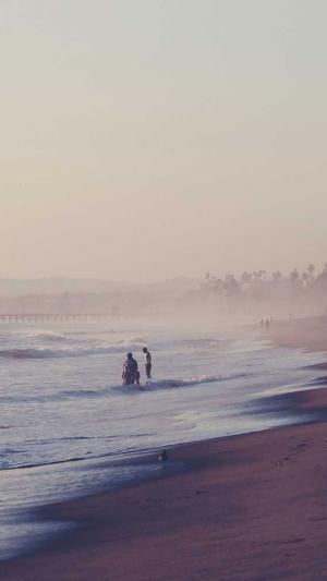 seo基础工具全集截图4