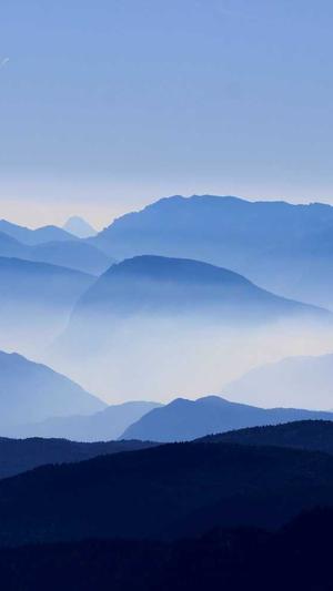 收录蜘蛛池截图1