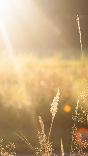 网站建设定制截图1