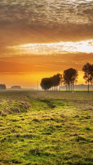 网站建设情况截图3