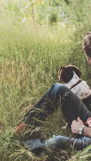 泛目录解析截图1