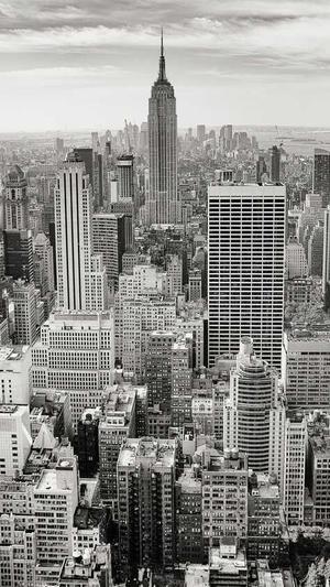 网站建设项目截图3