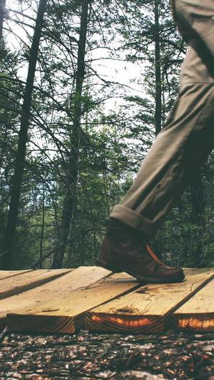 seo关键词排名软件截图1