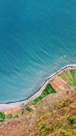 泛目录站群软件最新截图3