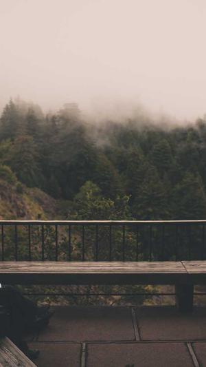 关键词排行seo工具截图5