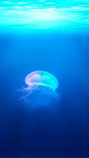 建设网站服务截图2