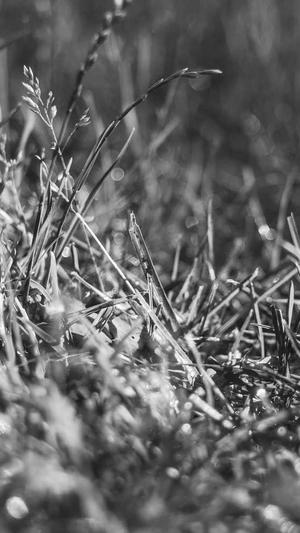 个人网站建设截图2