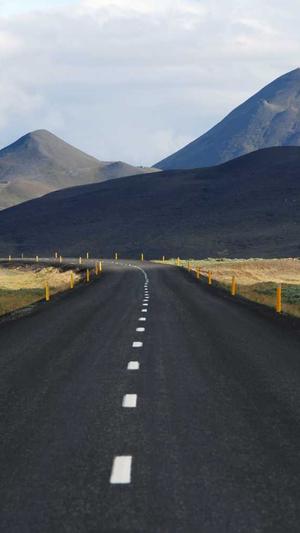 泛目录秒收截图4