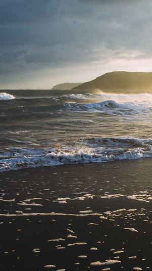 seo网站收录工具截图4