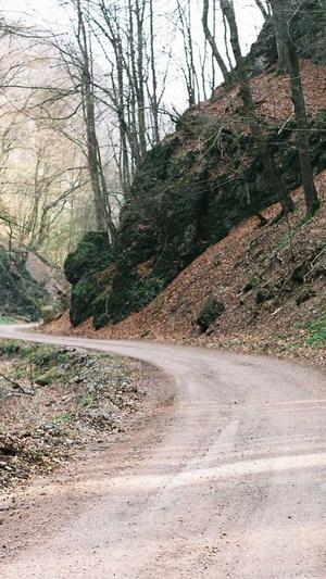 蜘蛛池出租 vikiseo截图2