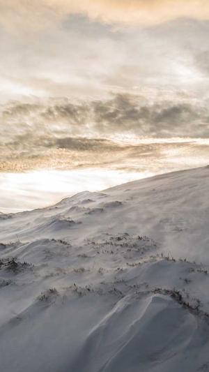 网站建设服务商截图3