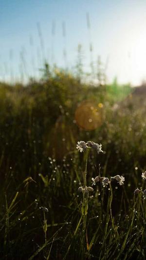 泛目录泛域名做法截图3