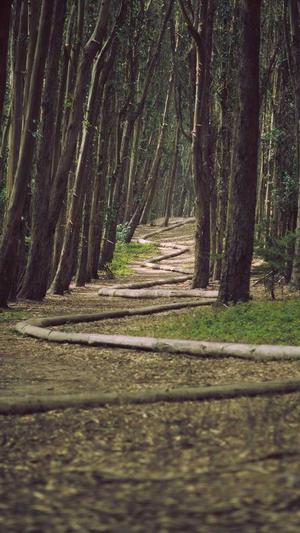 黑帽蜘蛛池搭建教程截图2