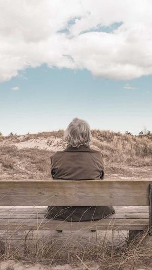 谷歌蜘蛛池教程下载截图1