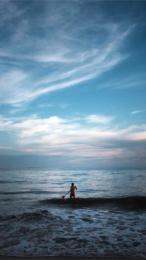 seo工具网站出站连接截图1