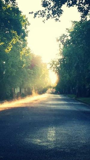 泛目录站群软件最新截图4