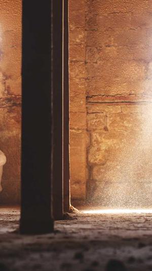 seo李守洪排名大师截图3