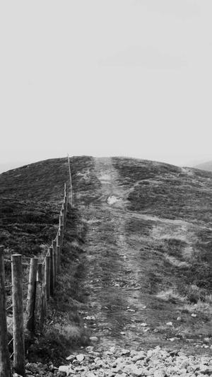 泛目录最新收录程序截图3