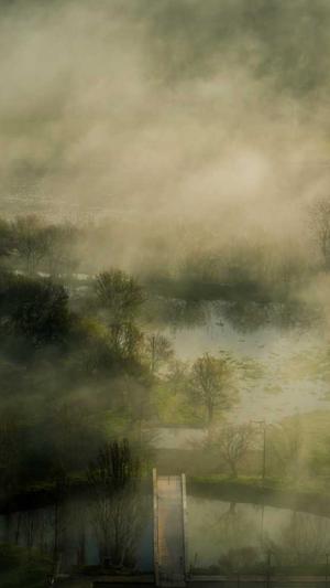 聊城网站建设截图1