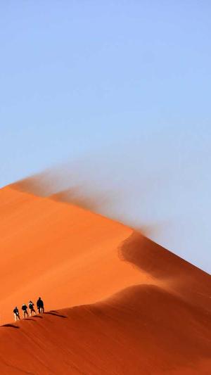 海口网站建设截图3