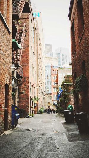 seo排名工具提升流量截图3