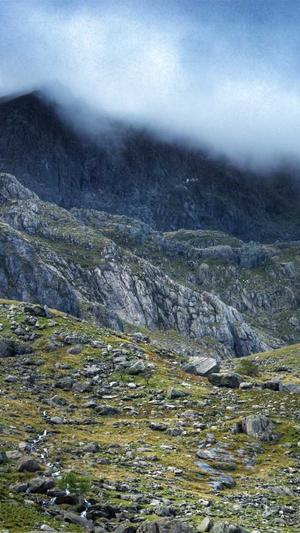 外推蜘蛛池软件截图3