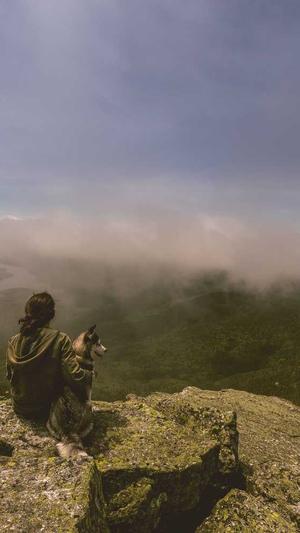 赣州seo优化截图5