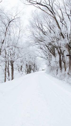 在线工具seo截图3