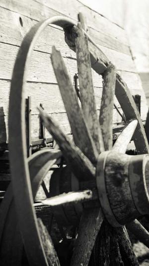 外贸seo工具截图4