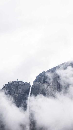 seo优化行业截图5