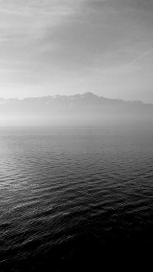 seo优化seo教程seo工具截图4