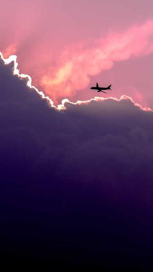 阿里蜘蛛池视频教程截图2