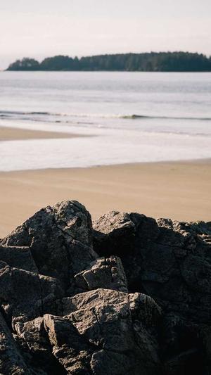 seo培训教程蜘蛛池截图1