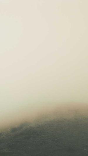 乌海网站建设截图1