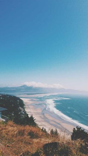 泛目录秒收截图2