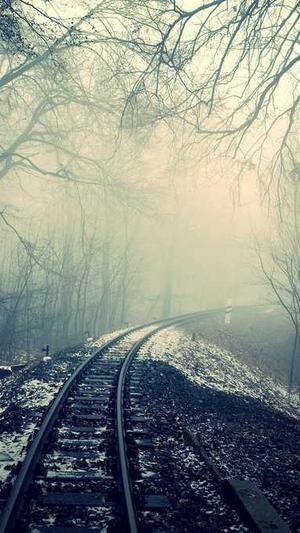 零距离泛目录截图3