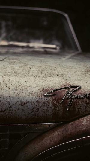 seo短视频网页入口引流截图2