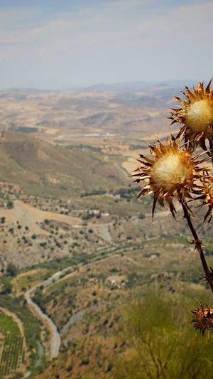 seo工具网站出站连接截图2