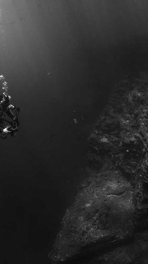 seo推广公司截图3