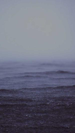 seo 站长工具截图3