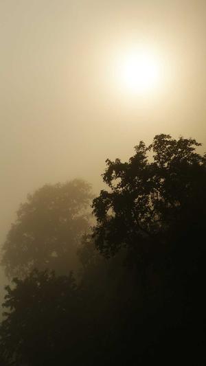 青岛seo优化排名截图3