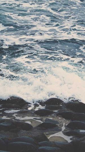 seo优化工具免费截图3