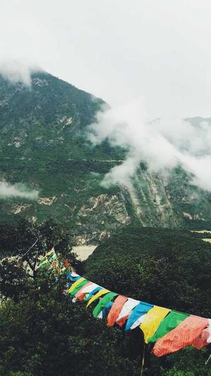 保定seo优化截图2