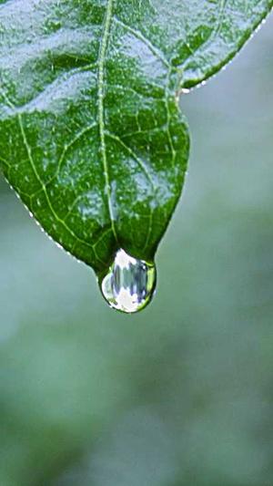 网站seo关键词排名工具截图1